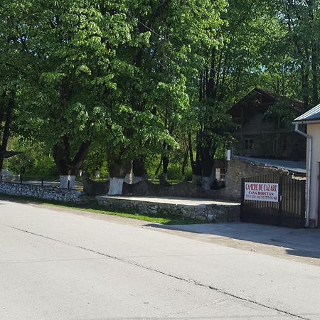 Casa Borcean Βίλα Sasca Montană Εξωτερικό φωτογραφία