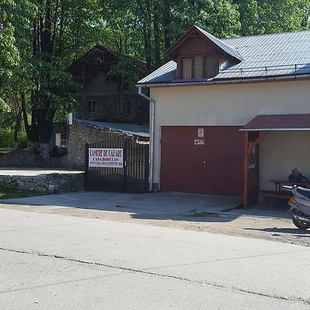Casa Borcean Βίλα Sasca Montană Εξωτερικό φωτογραφία