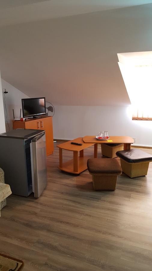 Casa Borcean Βίλα Sasca Montană Εξωτερικό φωτογραφία