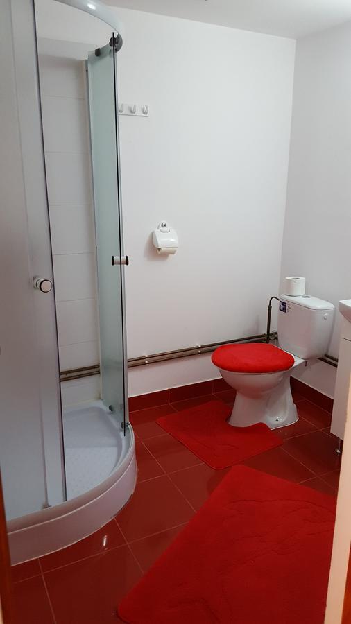 Casa Borcean Βίλα Sasca Montană Εξωτερικό φωτογραφία