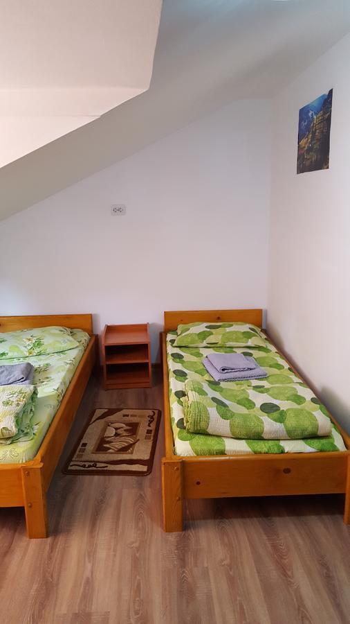 Casa Borcean Βίλα Sasca Montană Εξωτερικό φωτογραφία