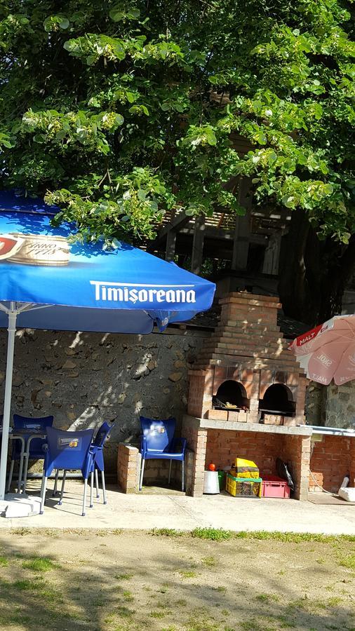 Casa Borcean Βίλα Sasca Montană Εξωτερικό φωτογραφία