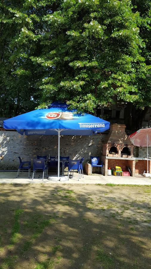 Casa Borcean Βίλα Sasca Montană Εξωτερικό φωτογραφία
