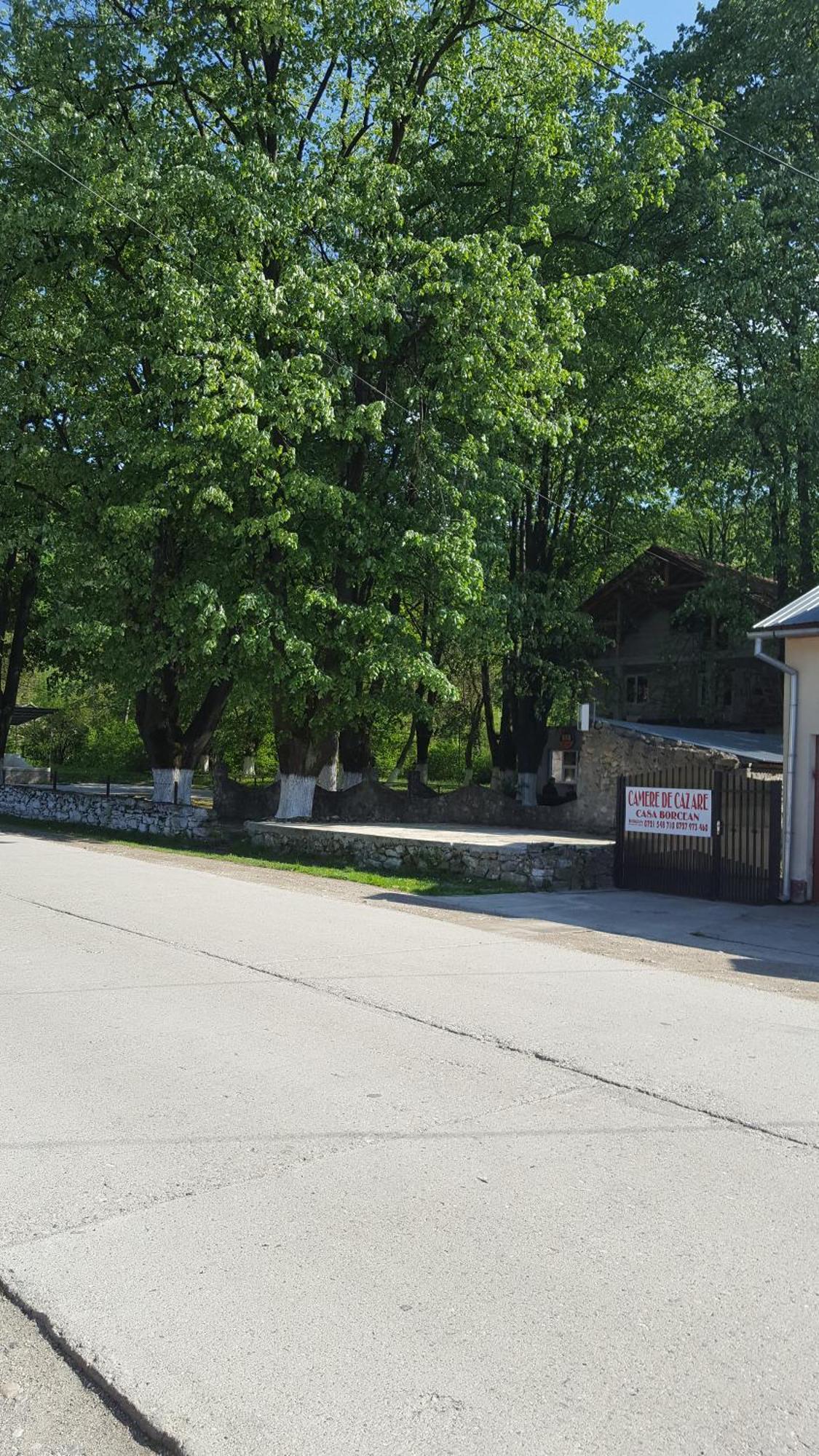 Casa Borcean Βίλα Sasca Montană Εξωτερικό φωτογραφία